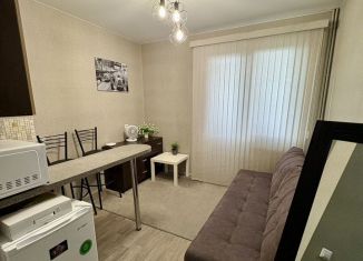 Сдача в аренду квартиры студии, 20 м2, деревня Афонино, Академическая улица, ЖК Академический