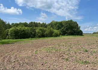 Продаю участок, 8 сот., деревня Хопилово