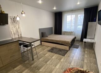 Сдам в аренду квартиру студию, 28 м2, Мурино, Петровский бульвар, 3к2, ЖК Три кита