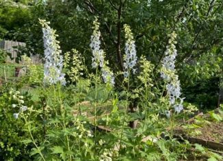 Продажа участка, 6 сот., Йошкар-Ола