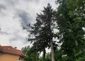 Продажа земельного участка, 15 сот., посёлок Лисий Нос, Парковая улица, 29