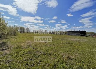 Участок на продажу, 10 сот., деревня Большой Яшнур, Дорожная улица, 13