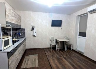 Сдам квартиру студию, 22 м2, посёлок Берёзовый, улица Ивана Кулибина, 4, ЖК Прогресс