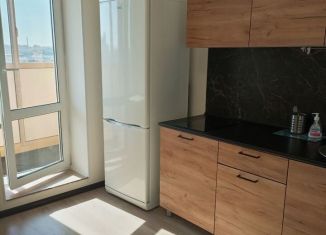 Сдается однокомнатная квартира, 33.8 м2, Мурино, Ручьёвский проспект, 17к1, ЖК Айди Мурино