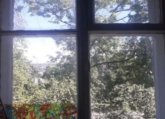 Сдается 1-ком. квартира, 25 м2, Петергоф, переулок Суворовцев, 1