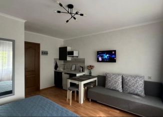 Продаю квартиру студию, 20 м2, Сочи, Виноградная улица, 224/11, микрорайон Мамайка