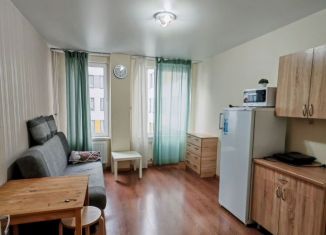 Квартира в аренду студия, 24 м2, Санкт-Петербург, бульвар Александра Грина, 1, метро Приморская