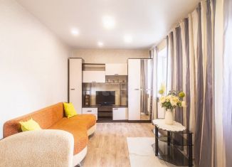 Продается 1-комнатная квартира, 41 м2, посёлок Шушары, Окуловская улица, 7к1