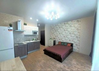 Аренда квартиры студии, 26 м2, Ростов-на-Дону, Стабильная улица, 3с1, ЖК Вест Сайд