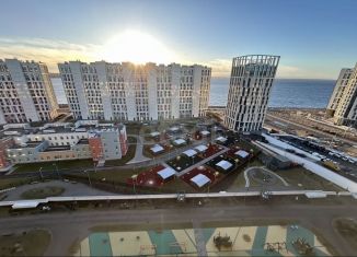 Продаю 3-комнатную квартиру, 81 м2, Санкт-Петербург, метро Приморская, проспект Крузенштерна, 2