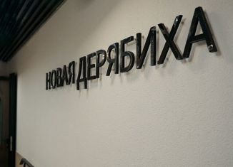 Продам 1-ком. квартиру, 30 м2, деревня Дерябиха, деревня Дерябиха, 81