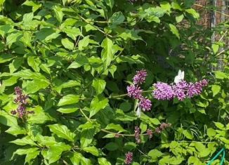 Продаю дом, 45 м2, посёлок городского типа Чульман, Набережная улица, 13