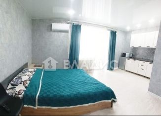 Продам квартиру студию, 23.7 м2, Благовещенск, ЖК Лазурный Берег, Заводская улица, 4/4