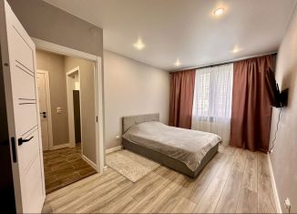 Продам 1-комнатную квартиру, 30 м2, Мурино, Воронцовский бульвар, 16к2, ЖК Краски Лета