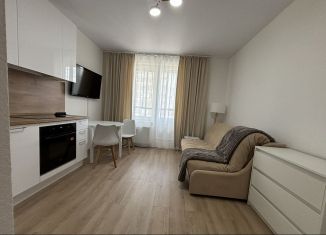 Сдаю в аренду квартиру студию, 24 м2, Колпино, проспект Ленина, 60