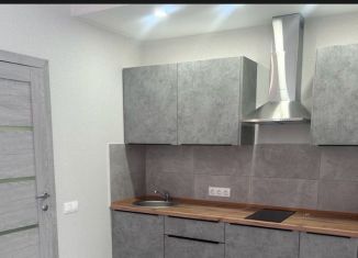 Сдаю 1-комнатную квартиру, 40 м2, Краснодар, Кругликовская улица, 3/19, микрорайон Табачная Фабрика