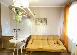 Продам 1-комнатную квартиру, 31 м2, городской посёлок Янино-1, Ясная улица, 16