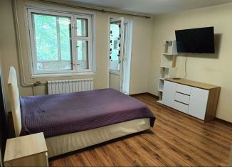 Сдается в аренду однокомнатная квартира, 47.7 м2, деревня Новое Девяткино, Лесная улица, 4