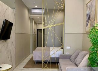 Продажа однокомнатной квартиры, 48 м2, Сочи, Навагинская улица, 11, микрорайон Центральный