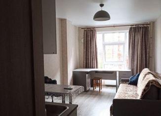 Сдаю в аренду квартиру студию, 24 м2, Мурино, улица Шоссе в Лаврики, 63