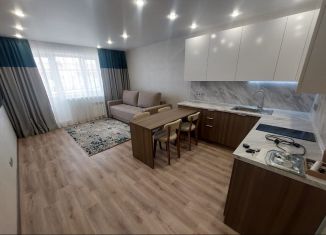 Продажа квартиры студии, 27 м2, село Чигири, Восточная улица, 14/1