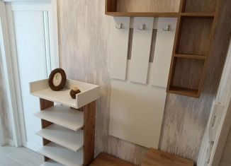 Сдача в аренду 1-комнатной квартиры, 38 м2, Ивановская область, Ивановская улица, 100