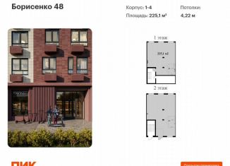 Продам помещение свободного назначения, 225.1 м2, Владивосток, улица Борисенко, 48