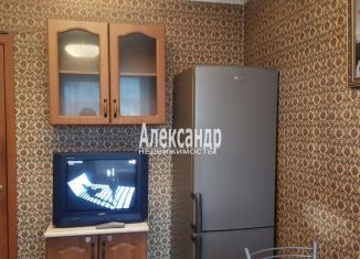 Сдается в аренду однокомнатная квартира, 39.7 м2, Петергоф, улица Бородачёва, 10