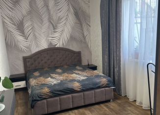 Дом в аренду, 70 м2, Ростовская область, улица Красная Гвоздика, 36