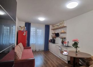 Сдаю в аренду квартиру студию, 24 м2, Санкт-Петербург, проспект Ветеранов, 171к4, муниципальный округ Сосновая Поляна