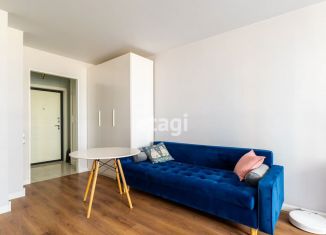 Продажа квартиры студии, 27.5 м2, Мурино, улица Шувалова, 48, ЖК Цвета радуги