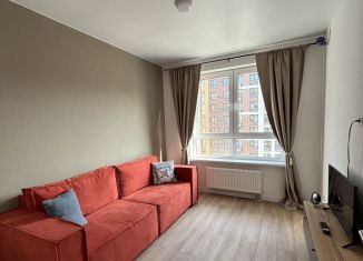 Сдаю однокомнатную квартиру, 30.2 м2, деревня Столбово, проспект Куприна, 30к2