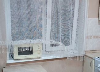 Сдается в аренду однокомнатная квартира, 35 м2, Йошкар-Ола, Ленинский проспект, 59