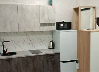 1-ком. квартира в аренду, 28 м2, Сочи, улица Тимирязева, 42/7, микрорайон Донская