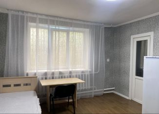 Сдам в аренду однокомнатную квартиру, 28 м2, Ставрополь, улица Пономарёва, 83