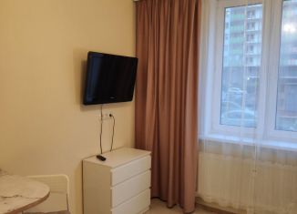 Аренда квартиры студии, 20 м2, Мурино, Графская улица, 11
