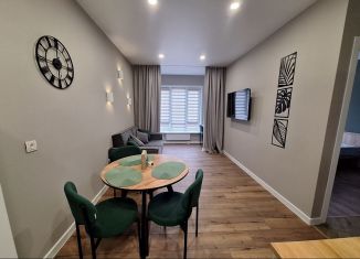 Аренда 1-ком. квартиры, 37 м2, деревня Хотицы, Загородная улица, 1