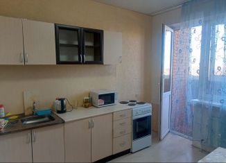 Сдам двухкомнатную квартиру, 70 м2, Краснодар, Домбайская улица, 12, микрорайон ККБ