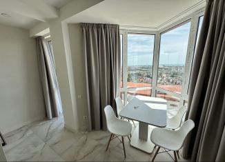 Сдается квартира студия, 28 м2, Сочи, Каспийская улица, 46/8Г, микрорайон Верхнеимеретинская Бухта