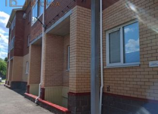 Продажа квартиры студии, 41.8 м2, село Верхнеяркеево, Советская улица, 24