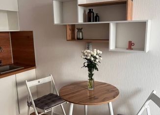 Сдам квартиру студию, 19.7 м2, Мурино, Ручьёвский проспект, 2