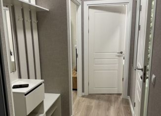 Аренда однокомнатной квартиры, 33 м2, посёлок Шушары, улица Нины Петровой, 6к1