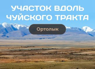 Участок на продажу, 250 сот., Ортолыкское сельское поселение