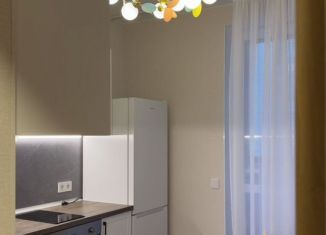 Продаю 1-комнатную квартиру, 28 м2, Мурино, Воронцовский бульвар, 21к2, ЖК Мой Мир