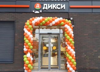 Продаю помещение свободного назначения, 746 м2, Санкт-Петербург, Комендантский проспект, 58к1, муниципальный округ Коломяги