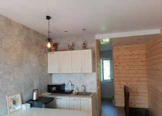 Сдаю в аренду таунхаус, 25 м2, Новосибирская область, Бердский тупик, 3