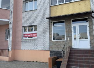 Помещение свободного назначения в аренду, 126 м2, Брянск, улица Крахмалёва, 57, Советский район