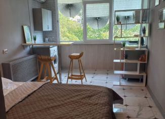 Сдаю в аренду квартиру студию, 20 м2, Сочи, улица Чебрикова, микрорайон Ареда