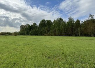 Продаю земельный участок, 7 сот., деревня Елань