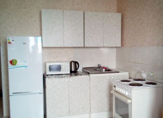 Сдам в аренду квартиру студию, 26 м2, Новосибирск, улица Фадеева, 66/5, метро Заельцовская